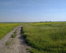 14 sot torpaq satílír