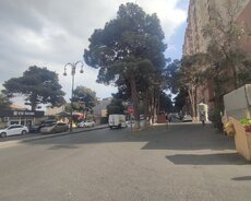 mənzil kirayə verilir