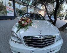 Sclass w221 kirayə toy nisan maşıni