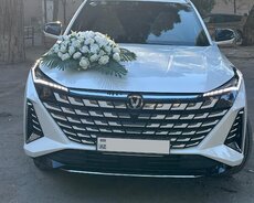 kirayə Changan toy maşıni sifarişi