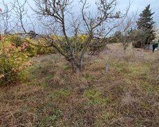 Novxanı qəsəbəsi, Məhəmməd Fizuli küçəsi