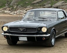 Retro Mustang icarəsi