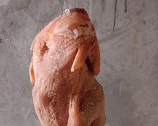 Təmiz Bütov Kənd Toyuğu