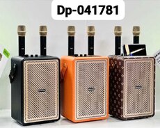 Kalonka səsucaldan karaoke iki mikrofonlu