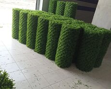 Yaşıl hasar setka-qazon setka, çim çit