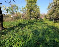 Qəbələde torpaq satilir