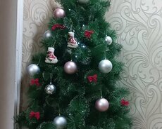 Yolka agaci suni 2.10