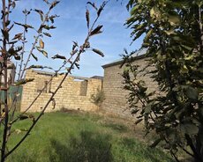 Saray qəsəbəsi, General Məhəmməd Əsədov küçəsi