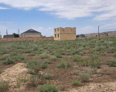 Şirvanda 12 sot torpaq satılır