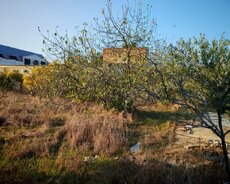 Maştağada torpaq satılır