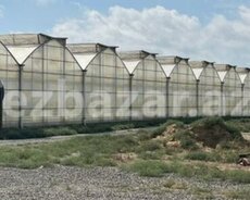 Parnik İstixana satlır