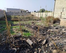 Albalı bağ massivində 6 sot torpaaq satılır