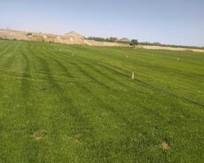 Satılır torpaq 48 sot, Səngəçal q