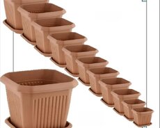 Dibcek dibcekqabikvadrat kvadrat gul qabi dibcek qabi kv