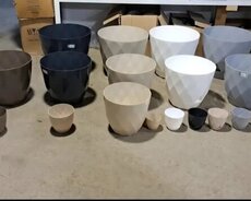 Dibcek.dibcekqabi gulqabi dibcekqabirengli gulqabirengli