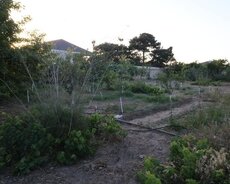 3 sot torpaq sahəsi satılır