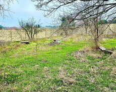 Nardaran bağlarında 13 sot çıxarışlı bağ evi