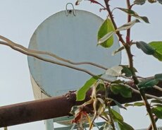 2 tonluq çən satılır