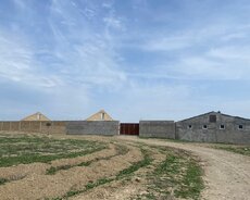 Ferma satılır Pirəkəşkül qəsəbəsində