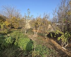 Buzovnada həyət evi