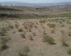 Təcili torpağa satıram