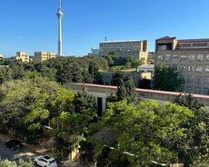 Milli310 Məclisin arxasında