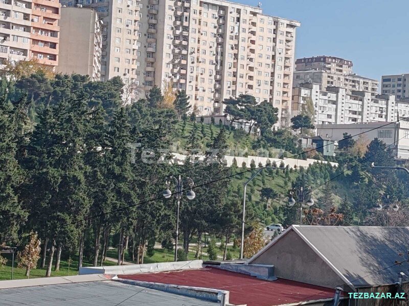 Гянджа, Проспект Гянджа, Проспект