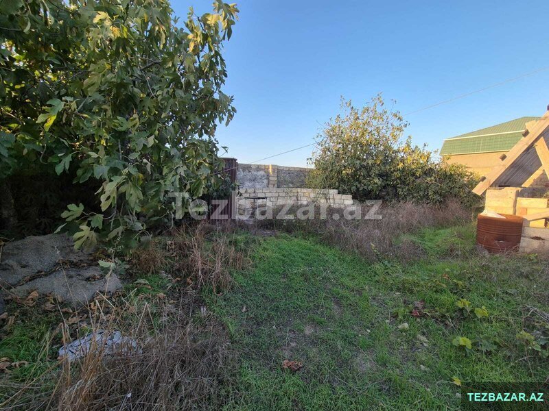 Маштага Савалан Маштага Савалан