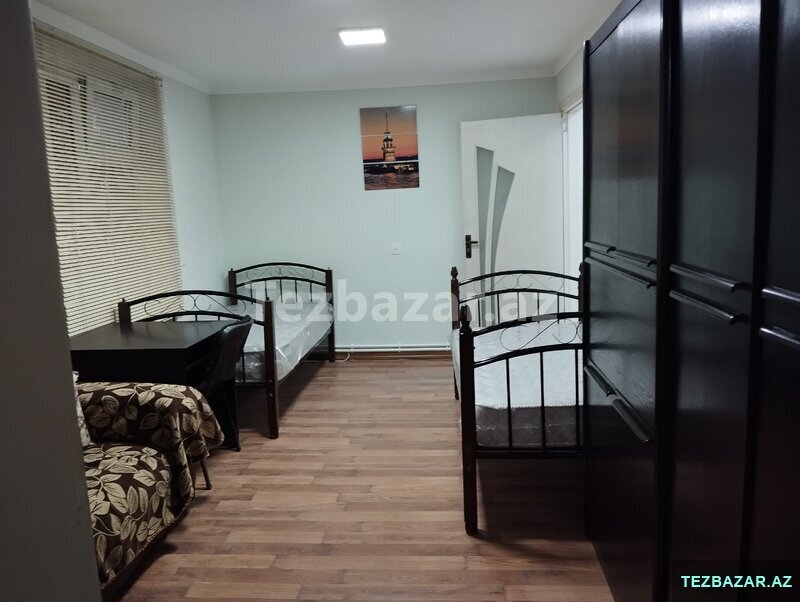 Девушка-соседка по комнате Девушка-соседка по комнате