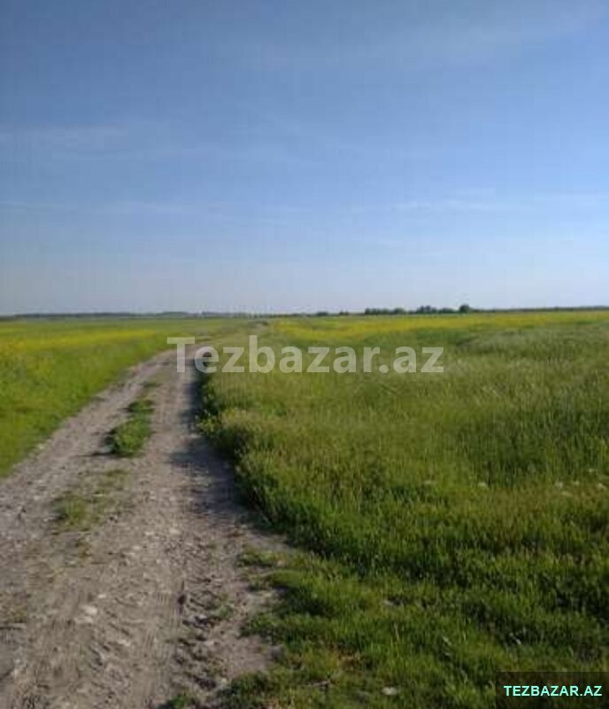 Продам земельный участок 14 соток. Продам земельный участок 14 соток.