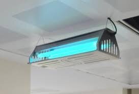 Eft yapışkanlı çilçək tələsi Eft yapışkanlı çilçək tələsi