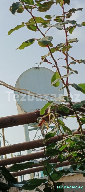 Çən satılır Çən satılır