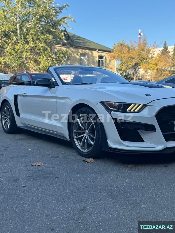 Gundelik mustang kirayəsi Gundelik mustang kirayəsi